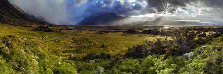 NZ 029
